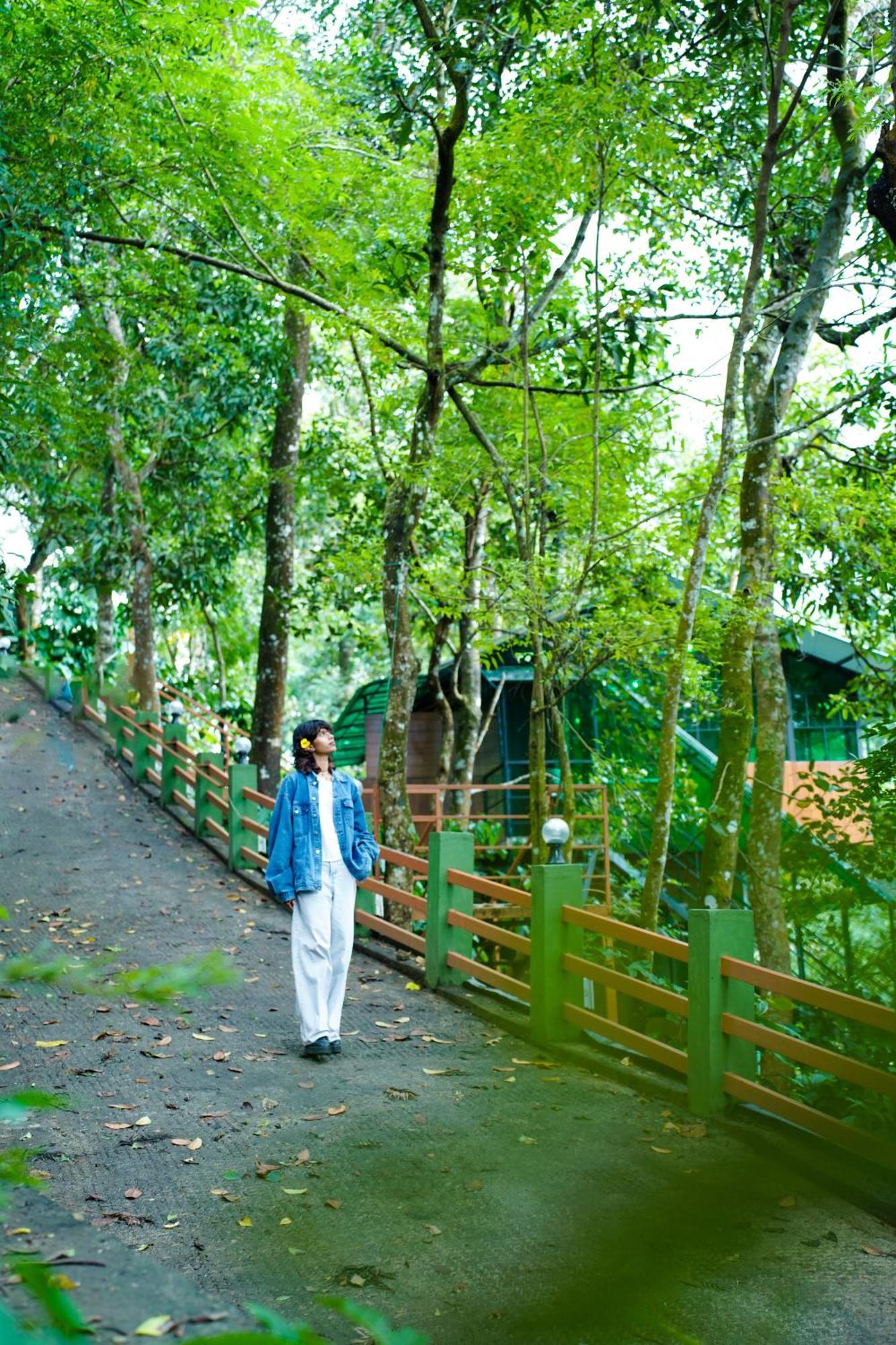 Space Rock Resort Kalpetta Exterior foto